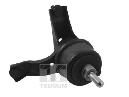 TED-GUM TEDGUM TED94424