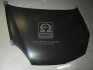 Капот RENAULT CLIO 01-05 TEMPEST 0410463280 (фото 1)