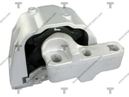 Engine mount TENACITY AWSVW1018