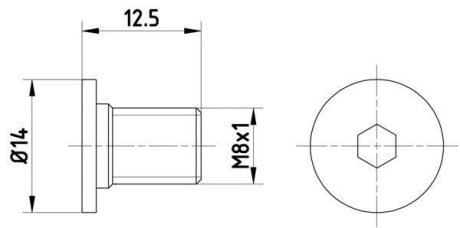 Болт, диск тормозного механизма TEXTAR TPM0002 (фото 1)