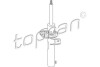 Амортизатор TOPRAN TOPRAN / HANS PRIES 110160 (фото 1)