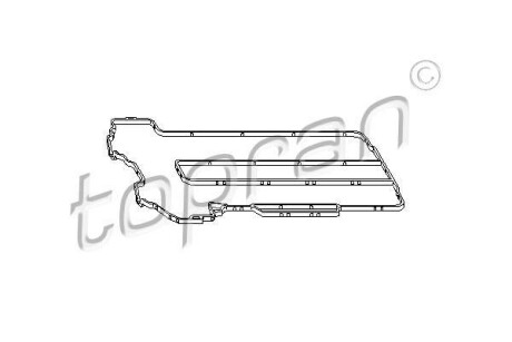 Прокладка, крышка головки цилиндра TOPRAN / HANS PRIES 206516