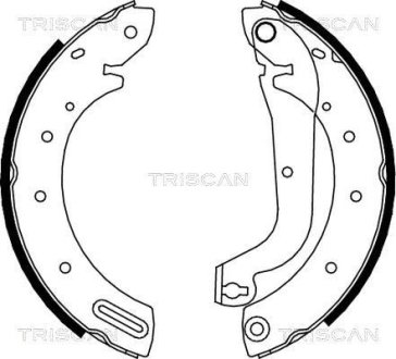 Колодки тормозние задние барабанние TRISCAN 810014596