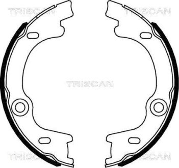 Гальмівні колодки ручного гальма TRISCAN 810018010