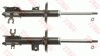 Shock Absorber (LUCAS) TRW JGM1335T (фото 1)