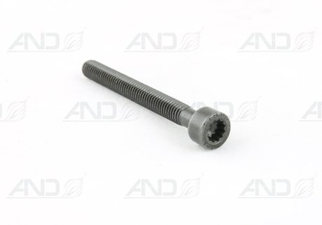 Болт M6X55 крепления насос-форсунки AUDI/VW VAG 070103385A