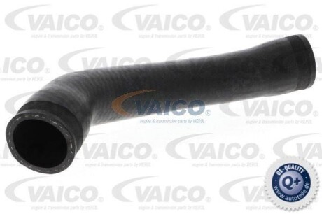 Шланг інтеркулера (Верх/Випускна сторона) SEAT AROSA, VW LUPO I, POLO 1.4D 01.99-07.05 VAICO V103811