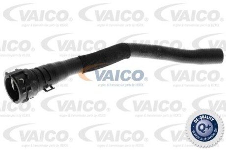 Шланг радіатора VAICO V104756