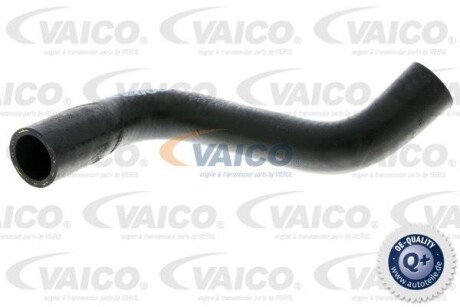 Radiator Hose VAICO V301768