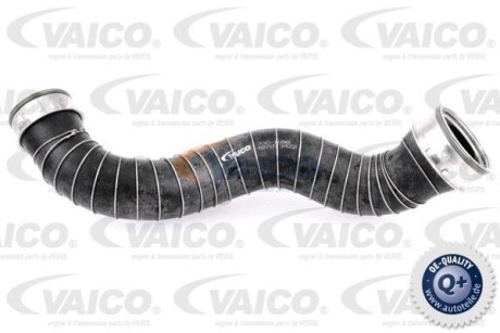 Hose Line VAICO V301788
