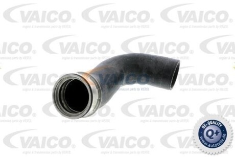 Патрубок интеркулера MB Vito (W639) 03- (R) (5258) VAICO V302246