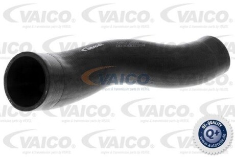 Charger Intake Hose VAICO V302501
