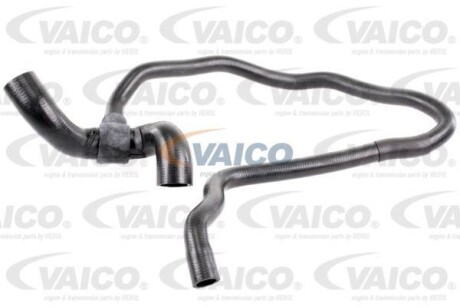 Hose Line VAICO V401164