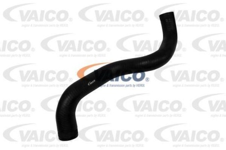 Hose Line VAICO V401355
