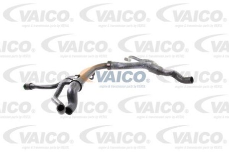 Hose Line VAICO V401757