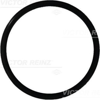 REINZ Victor Reinz 407616500