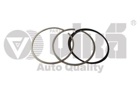 Piston rings Vika 11981543001