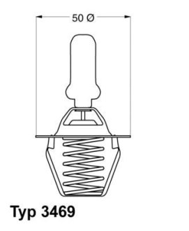 Термостат WAHLER 346991D