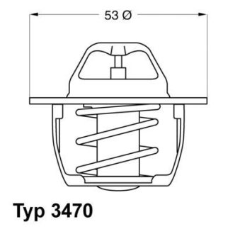 Термостат з прокладкою WAHLER 347089D50