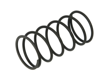 Пружина ZF 0732040765