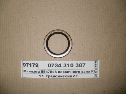 Уплотнительное кольцо ZF 0734310387