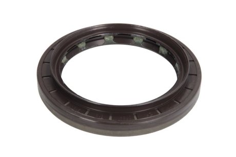 Уплотнительное кольцо ZF 0734319718